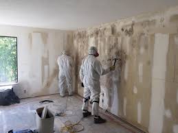 Asbestos and Lead Testing During Mold Inspection in Petersburg, VA